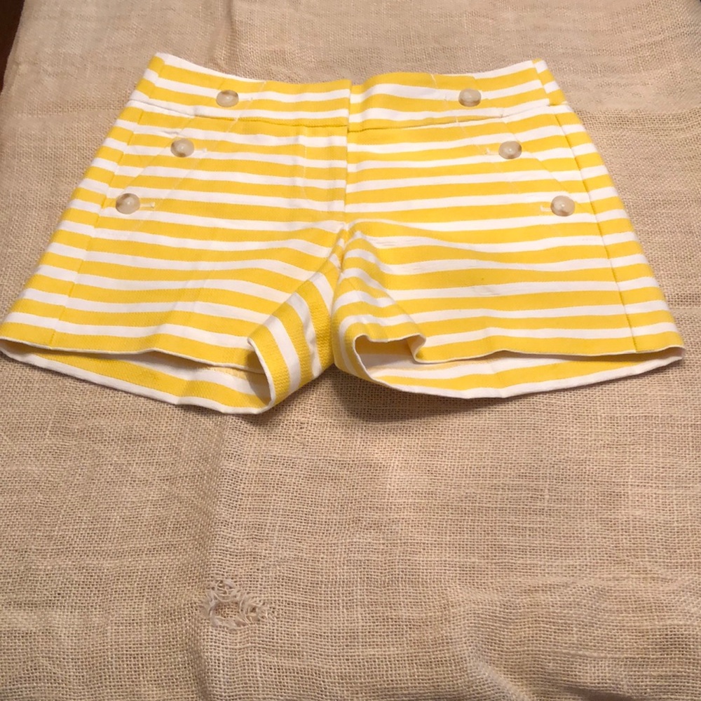 Ann Taylor Loft Shorts